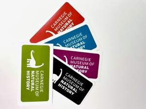 Dippy silhouette sticker
White imprint with CMNH logo on a variety of colors. 
Black, Teal, Green, Plum and Orange.