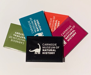 all 5 colors of magnets, black magnet in front with green, blue, orange and purple magnets fanned out behind.