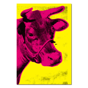 Pink cow on a yellow background sticker. Pink cow on a yellow background sticker.