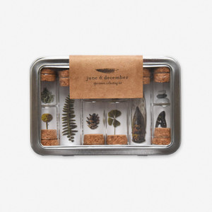 8 small glass jars with cork stoppers inside of a tin. images of small plants and insects are set behind the jars. 8 small glass jars with cork stoppers inside of a tin. images of small plants and insects are set behind the jars.