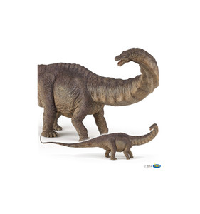 Apatosaurus ( meaning "deceptive lizard") is a brown dinosaur of the herbivorous sauropod dinosaur that lived in North America during the Late Jurassic period. Apatosaurus ( meaning "deceptive lizard") is a brown dinosaur of the herbivorous sauropod dinosaur that lived in North America during the Late Jurassic period.