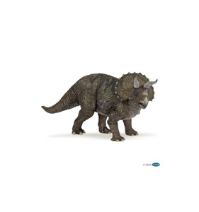 Triceratops Triceratops