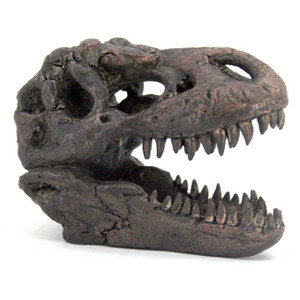 dark brown replica T. rex skull fossil