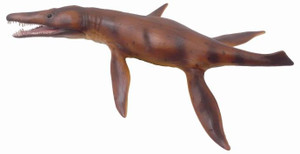 Kronosaurus had an elongated head, short neck and stiff body. Larger back flippers than those at the front. Kronosaurus had an elongated head, short neck and stiff body. Larger back flippers than those at the front.