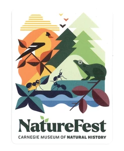 simple illustrated logo has a gold finch, 3 pine trees in various shades of green, a frog and 3 ants near some leaves