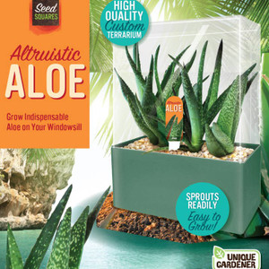 front of box, shows fully grown aloe in terrarium with "altruistic aloe" written along the left side of box front of box, shows fully grown aloe in terrarium with "altruistic aloe" written along the left side of box