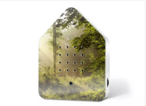 birdy box with picture of a forest birdy box with picture of a forest