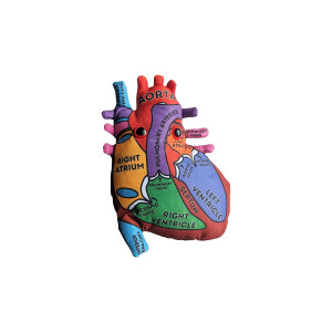 A plush with labeled diagrams illustrating the parts of the human heart as seen from the front