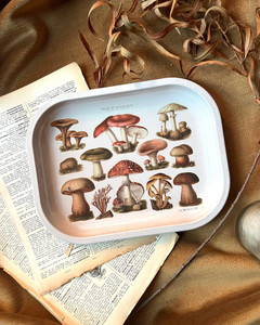 tan mushroom vintage printed metal tray on top of old book pages and brown background tan mushroom vintage printed metal tray on top of old book pages and brown background