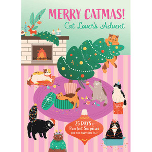 Cats advent calendar packaging Cats advent calendar packaging