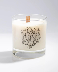 An unlit cocktail candle with the imprinted image of a nerve cluster