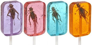 all 4 flavors of lollipop next to each other