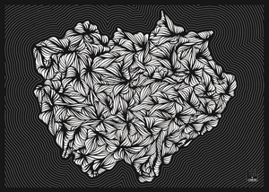 "the one about calcite" print : CMOA Edition