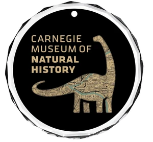 This ornament features the silhouette of Dippy the Diplodocus, the Carnegie Museum of Natural History's logo, with a map of Pittsburgh printed inside and the full name of the museum to its left.