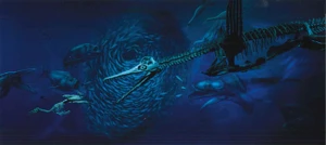 Dolichorhynchops CMNH Postcard