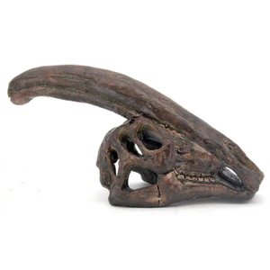 A photo of the replica Parasaurolophus fossil skull. It has a dark brown antique finish.