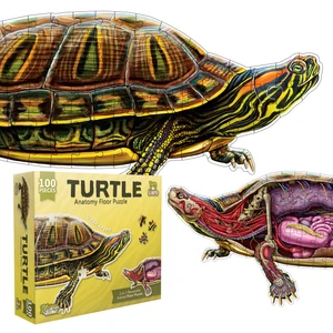 An image showing the puzzle's box and what it looks like when complete. There is one side showing the box turtle as it appears in the wild, while the other shows its inner anatomy as drawn by a Certified Medical Illustrator.
