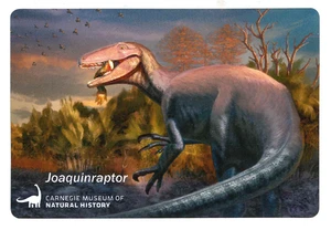 Joaquinraptor CMNH Sticker