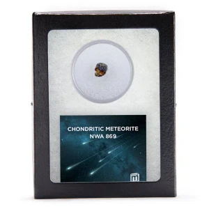 A display box with a sealed piece of chondritic meteorite
