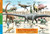 Dinosaurs Through the Ages Placemat