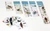 3-D Bird Playing Cards