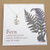 shows silver necklace with silver amulet engraved with a fern on white backing card with a larger fern image on it