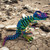 multicolored blue/green/purple T. Rex skeleton with closed mouth on dry earth background