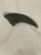 Image of the T.rex foot claw. Dark in color, this measures 8 inches long and is 3 inches wide at its base.