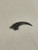 An image of the velociraptor killing claw replica. Dark in color, this measures two inches long.