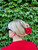 shows blonde woman with clip in hair on green background