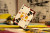 The King of spades, featuring Basquiat's trombone player art work. The King of spades, featuring Basquiat's trombone player art work.