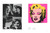 Screenprints a History