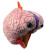 A plush brain keychain with eyes