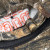 Inside of official camo pattern with orange embroidery that says Hot Dog