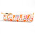 Punctuation Pencil Pouch