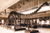 Historic Diplodocus (Dippy) CMNH Postcard