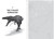 Rise and Fall of Dinosaurs Rise and Fall of Dinosaurs