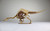 Deinocheirus 3D Accurate Scale Model Kit