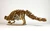 Ankylosaurus 3D Accurate Scale Model Kit