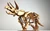 Triceratops 3D Accurate Scale Model Kit