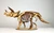 Triceratops 3D Accurate Scale Model Kit
