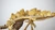Stegosaurus 3D Accurate Scale Model Kit