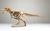Tyrannosaurus rex 3D Accurate Scale Model Kit