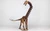 Diplodocus 3D Accurate Scale Model Kit