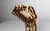 Diplodocus 3D Accurate Scale Model Kit