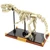 Tyrannosaurus rex Fossil Brick Set
