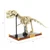 Tyrannosaurus rex Fossil Brick Set
