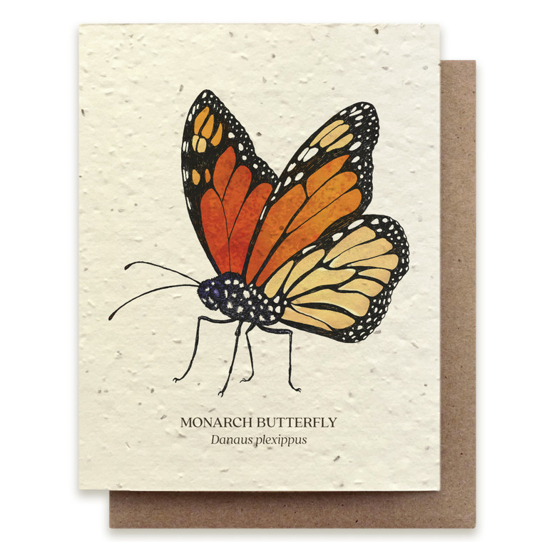 Plantable natural card with painted Monarch butterfly, blank inside with kraft envelope.