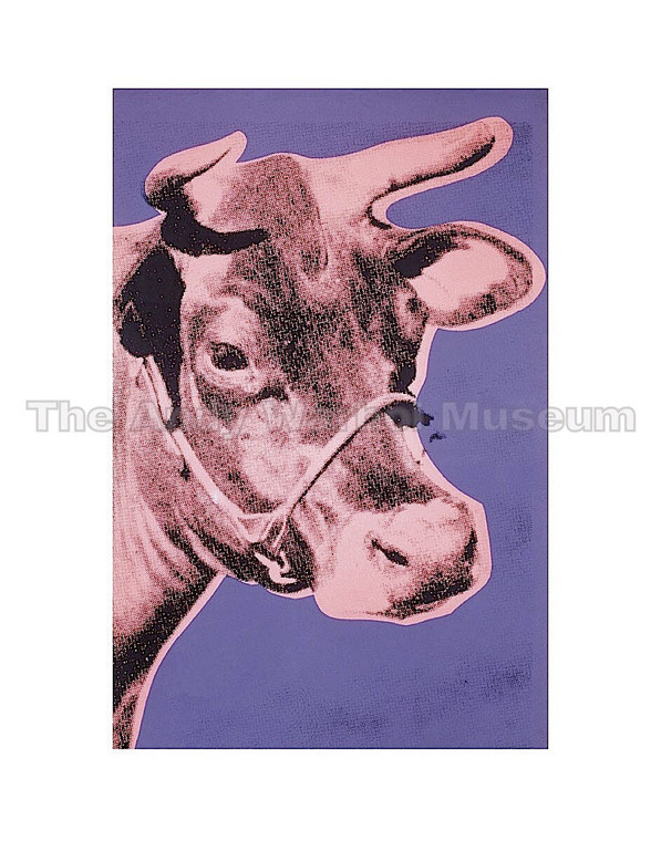 A pale pink cow's head on lavender background