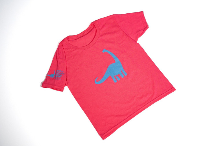 Pink Dippy Youth Tee
